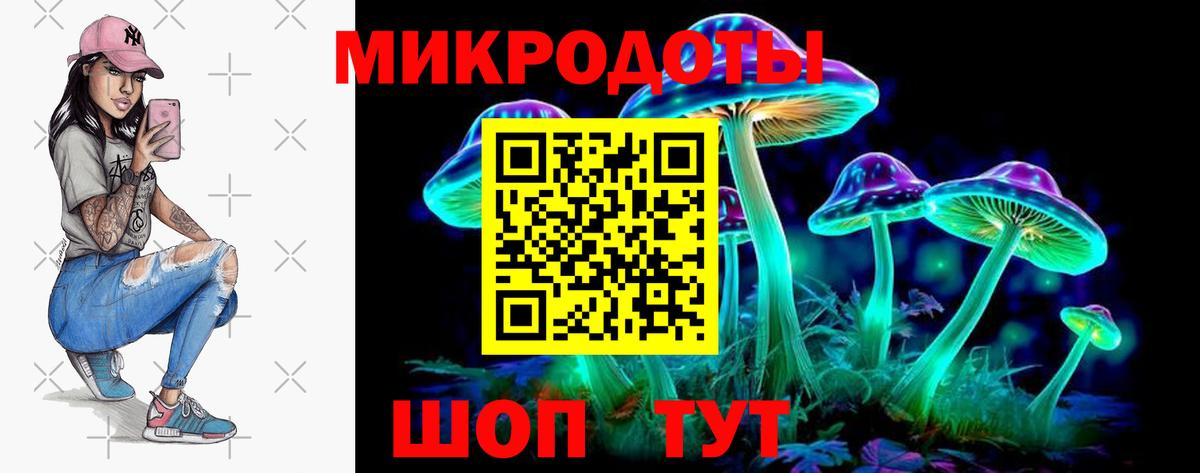 Псилоцибиновые грибы Psilocybine cubensis Сунжа